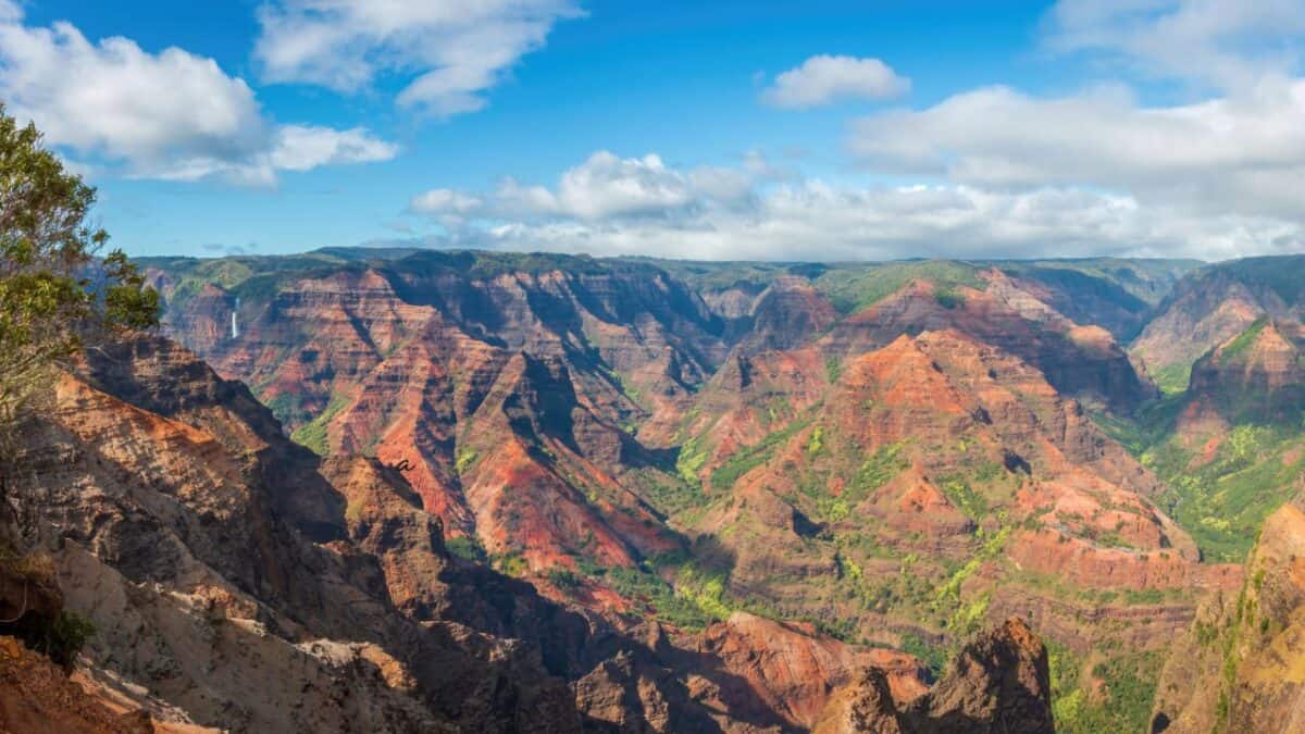 Waimea