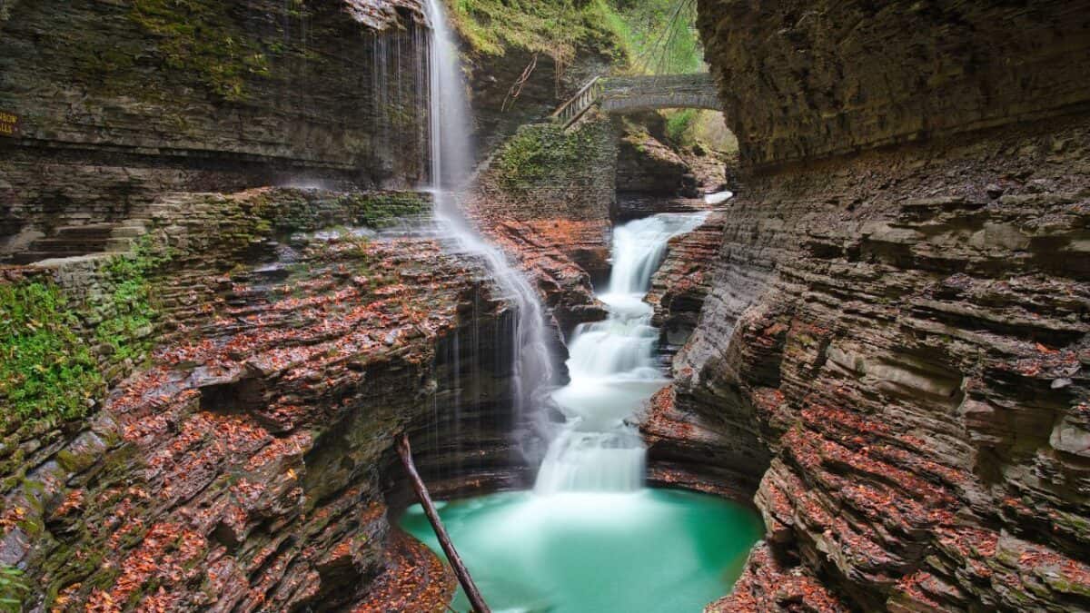 Watkins Glen