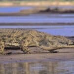 12 Deadly Beaches You Should Know About