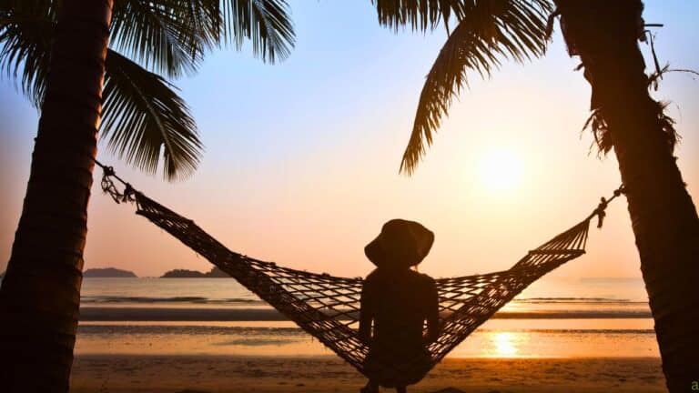 Person in a hammock between two palm trees, watching a sunset over the ocean.