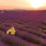 Recent Study Reveals The Most Beautiful Places in Europe