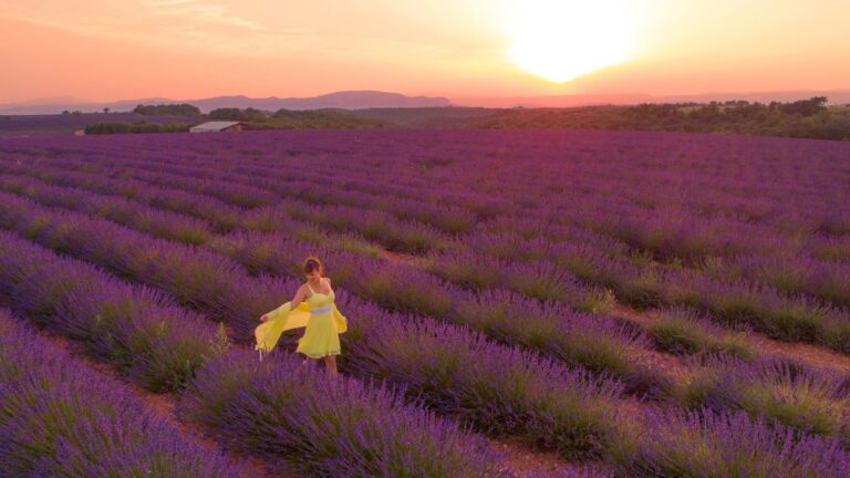 Woman in a yellow dress stands in a blooming lavender field at sunset.