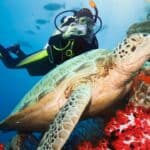 10 Scuba Spots That Are Basically Underwater Heaven