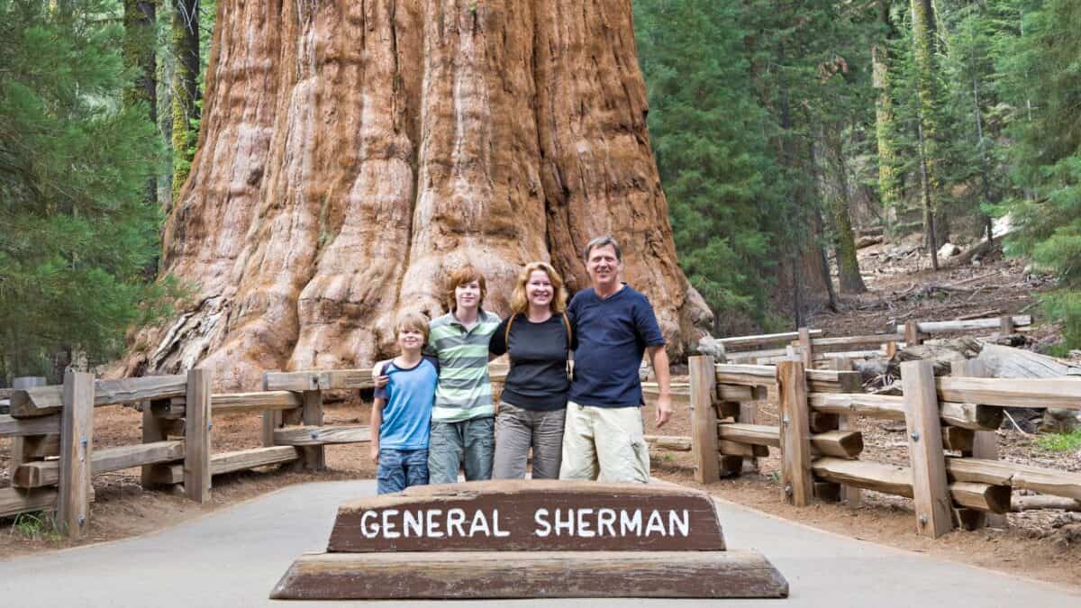 A family of four smiles in front of the General Sherman Tree in a forest with wooden fences nearby.