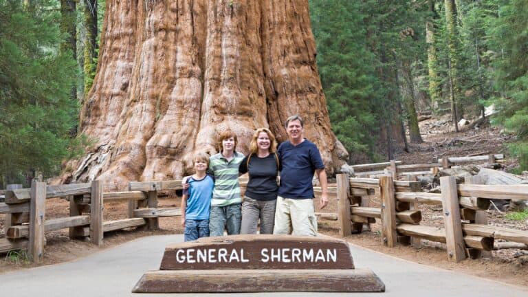 A family of four smiles in front of the General Sherman Tree in a forest with wooden fences nearby.