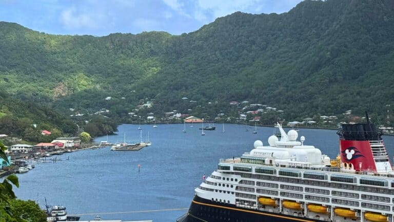 Cruise Industry Rapidly Expanding Despite Overtourism, Environmental Concerns