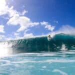 Maui Surfer Survives Dramatic Shark Attack – Community’s Quick Response Saves Life