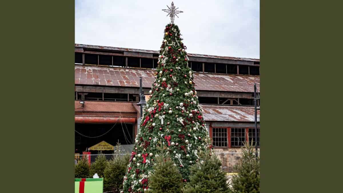 chrismtas Tree