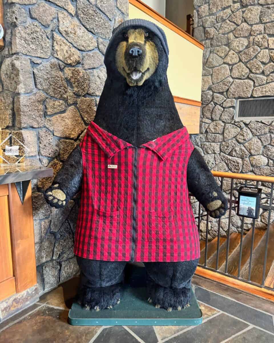 I Finally Stayed At Sun River Resort in Central Oregon, And Now I Get The Hype 2 Sunriver bear