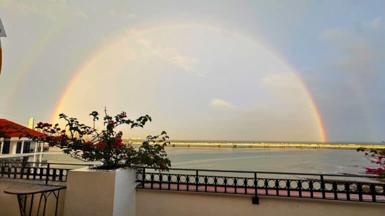A vibrant rainbow arcs across the sky above a river, viewed from a terrace with flowers and a railing.
