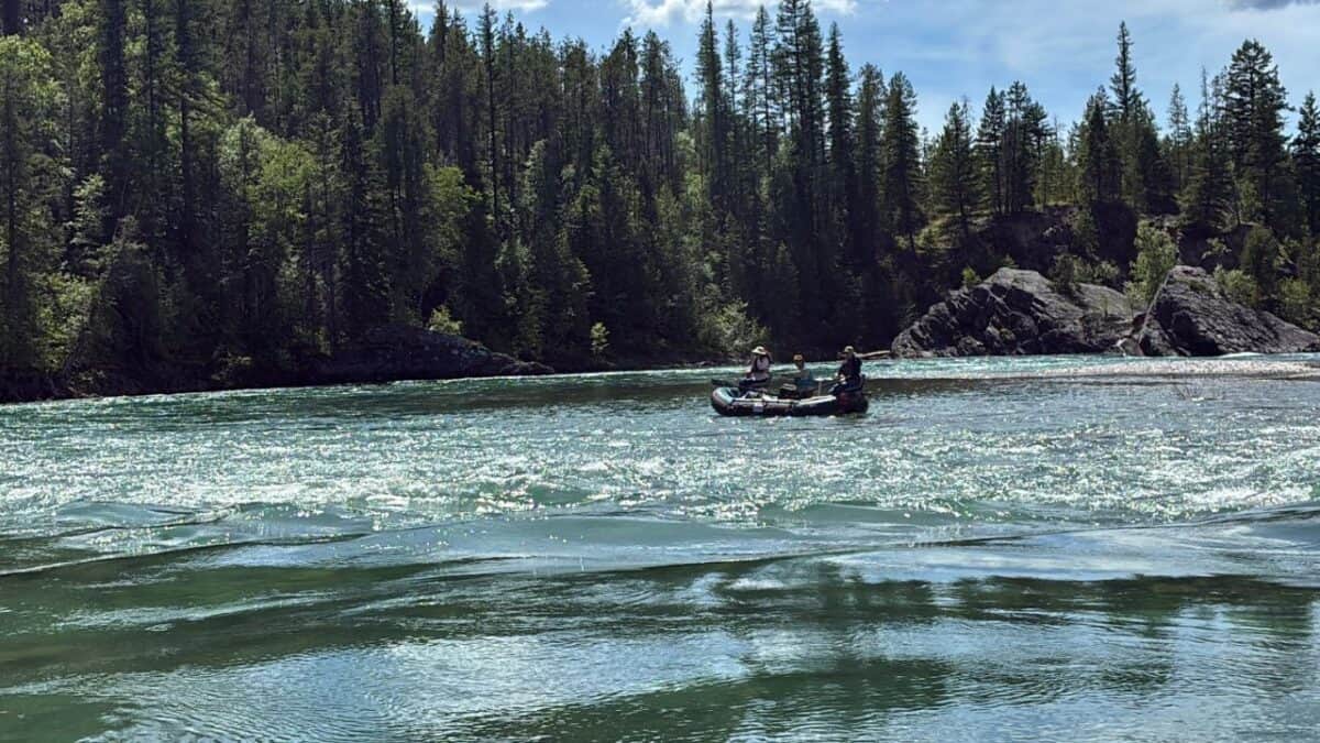 A raft with three people floating on a river in front of a forest.