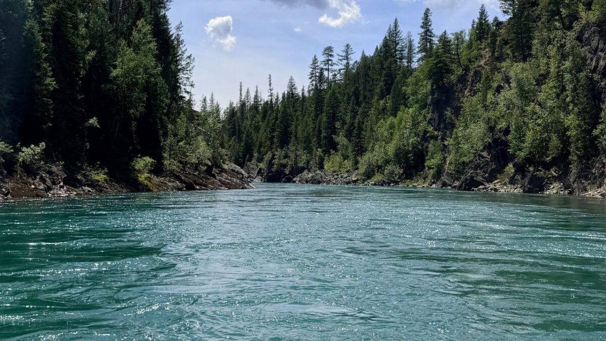 A wide turquoise river flowing between rocky banks lined with pine trees.